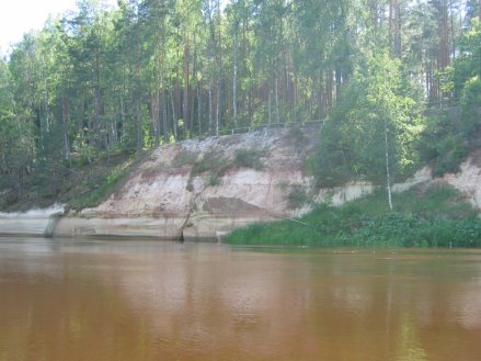 Sietiniezis